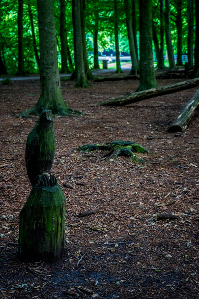 Holzskulptur einer Eule auf einem Baum in Haagse Bos, Wald in Den Haag, Niederlande, Europa - Foto, Bild