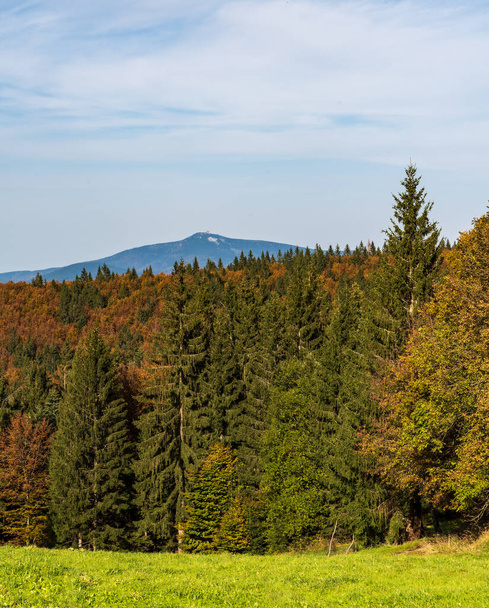 луг, ліс і пагорб Ліса з снігом на вершині восени Моравске Бескідські гори в Чеських республіках. - Фото, зображення