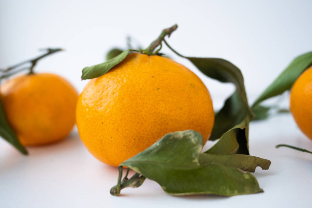 Mandarin Photo fruit citrus orange with leaves - Foto, imagen