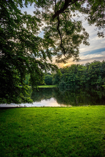 Goldener Sonnenuntergang über einem See mit Bäumen und Gras bei Haagse Bos, Wald in Den Haag, Niederlande, Europa - Foto, Bild