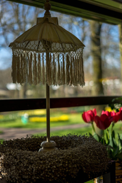 Jardín de flores, Países Bajos, Europa, un jarrón de flores se sienta frente a una ventana - Foto, Imagen