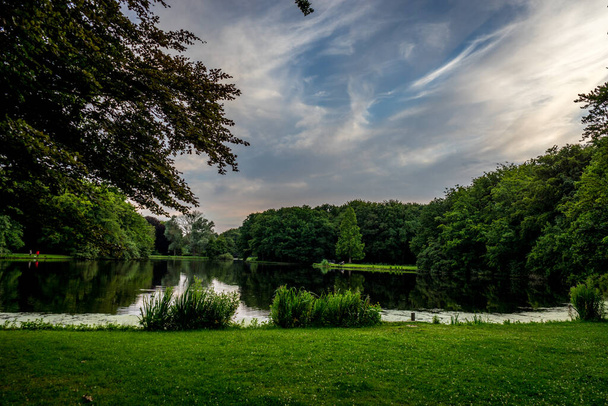 Blauer Himmel über einem See und grünes Gras bei Haagse Bos, Wald in Den Haag, Niederlande, Europa - Foto, Bild
