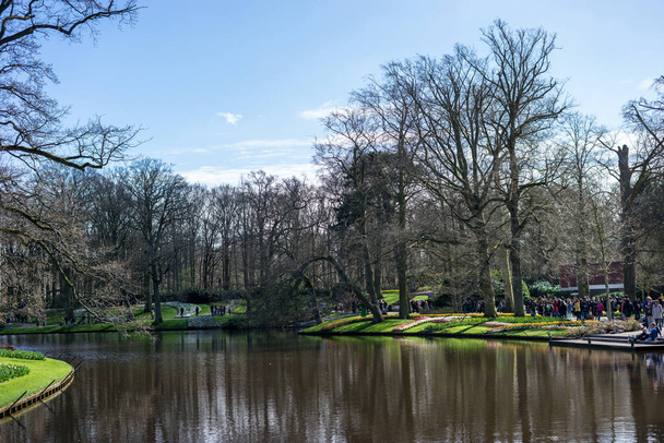 Çiçek bahçesi, Hollanda, Avrupa, ağaçlarla çevrili bir nehirde yeşil bir tekne. - Fotoğraf, Görsel