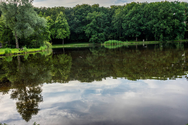 un étang d'eau à Haagse Bos, forêt à La Haye, Pays-Bas, Europe - Photo, image