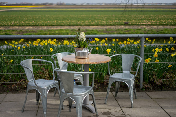 Çiçek bahçesi, Hollanda, Avrupa, parkta bir bankta duran bir vazo çiçek. - Fotoğraf, Görsel