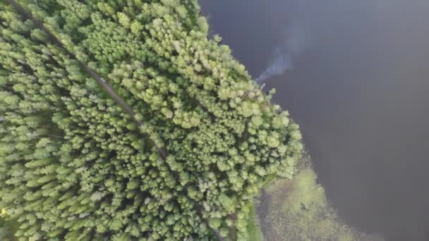 κάμπινγκ με bonfire balefire φωτιά καπνού ακτή λίμνη δάσος σκοτεινό νερό - Πλάνα, βίντεο
