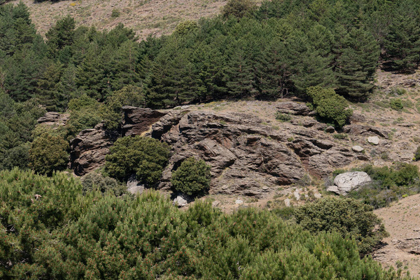 Formação de rochas na Serra Nevada, há árvores, arbustos e grama - Foto, Imagem