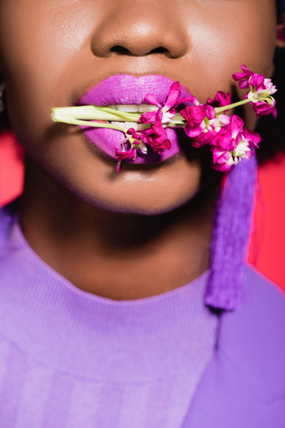 oříznutý pohled na africkou americkou mladou ženu s květinou v ústech izolované na červené - Fotografie, Obrázek