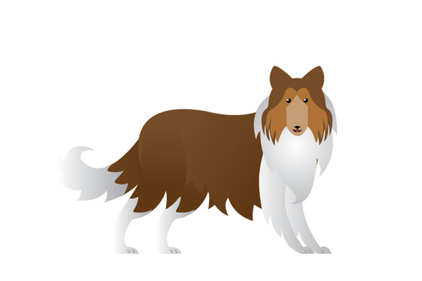 COLLIE DOG - Vector, Image