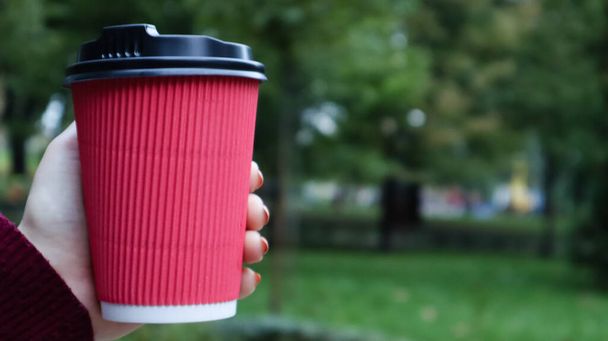 Mladá dívka v kabátě si s ní dává ranní kávu, když se prochází v parku. Ruka drží papírový šálek kávy v zeleném parku. Kappuccino s sebou. Detailní záběr, kopírovat prostor - Fotografie, Obrázek