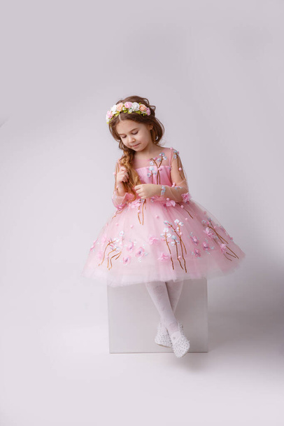 una niña con vestido rosa y corona de flores posando en el estudio - Foto, Imagen