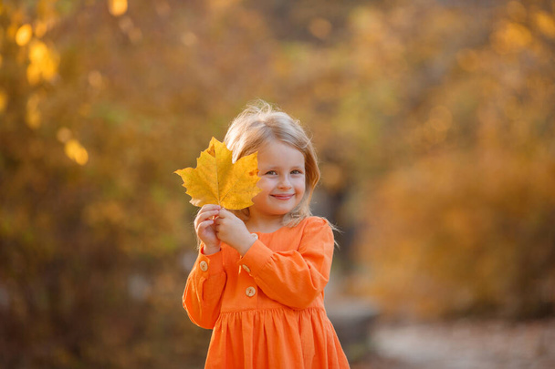 little girl in autumn in the Park holds a bouquet of autumn leaves - Foto, immagini