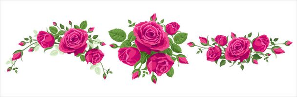 Joukko ruusukimppu. Vektori kuva, 3 kukkakimppuja vaaleanpunaisia ruusuja valkoisella taustalla lehtiä. Seppele, seppele, raja, joukko kauniita kukkia. Kuuma pinkki, viininpunainen, Rubiininpunainen - Vektori, kuva