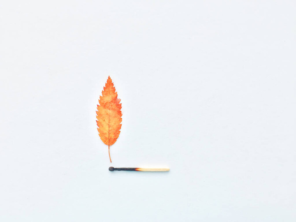A match that sets fire to a forest, a match, and an autumn leaf. a burning match can cause a fire in the forest.  - Fotoğraf, Görsel