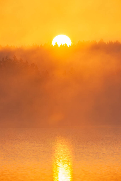 Gyönyörű kilátás a napfelkelte a reggeli köd a tavon - Fotó, kép