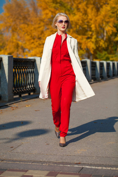 Young beautiful blonde woman in a beige coat walks in the autumn park - Foto, Bild