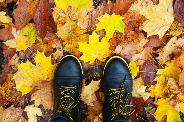 Žluté a oranžové listy a černé boty na zemi v lese - Fotografie, Obrázek
