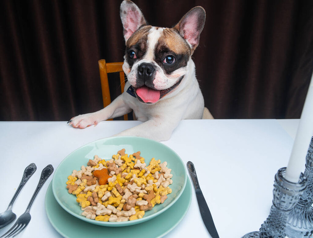 french bulldog sitting at table with bowl of food  - Fotografie, Obrázek