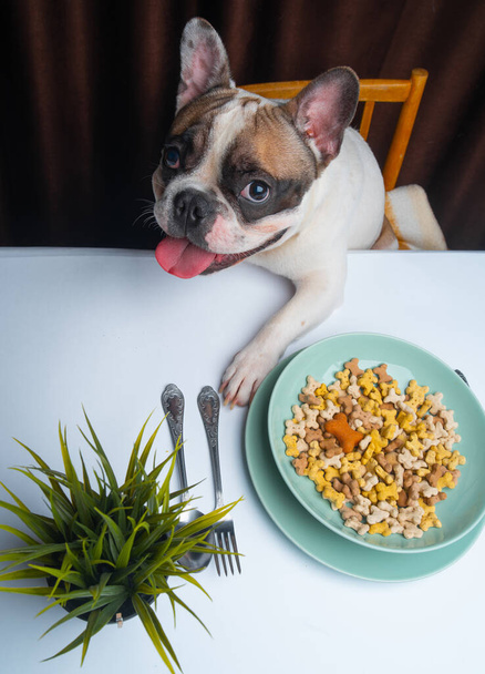 french bulldog sitting at table with bowl of food  - Fotografie, Obrázek