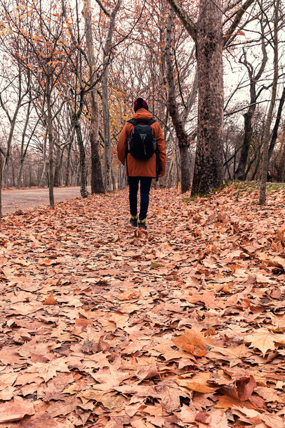 Man walking down a road full of leaves on a cold and cloudy winter day - Photo, Image