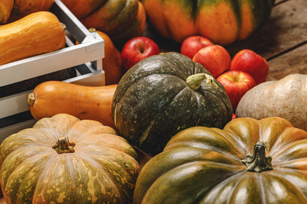 Autumn harvest of pumpkins and apples on wooden board - Foto, Imagen