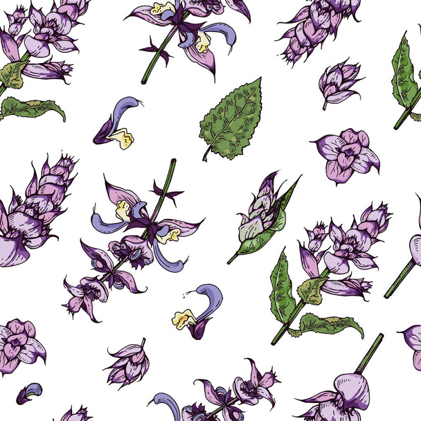 Seamless Pattern with Clary sage twigs with leaves and flowers . Detailed hand-drawn sketches, vector botanical illustration. - Vektor, kép