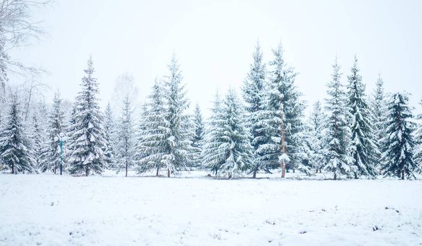 Зимовий ліс з ялинками в снігу. Різдвяний та новорічний настрій. Довгий банер
. - Фото, зображення
