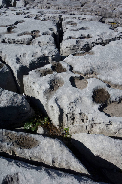 Doğadaki taş ya da kaya yüzey deseni, doku ve yapılar - Fotoğraf, Görsel