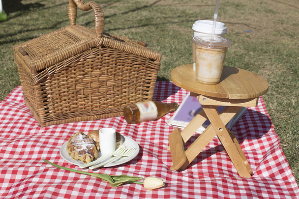 piknik seti çimenlikteki kırmızı battaniyede - Fotoğraf, Görsel