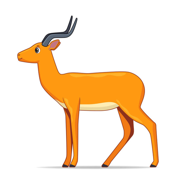 Impala animale antilope in piedi su uno sfondo bianco. Illustrazione vettoriale stile cartone animato - Vettoriali, immagini