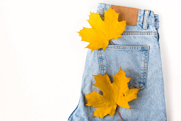 Close up maple leaf in jean pocket. Fashionable denim in autumn concept. Macro. Flat lay. Top view. - Photo, Image
