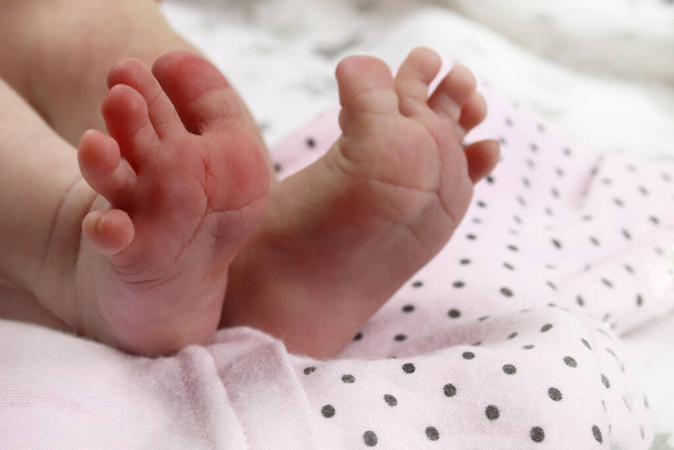 младенца, ноги новорожденного ребенка на одеяло крупным планом - Фото, изображение