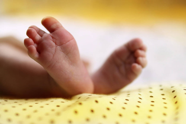 младенца, ноги новорожденного ребенка на одеяло крупным планом - Фото, изображение