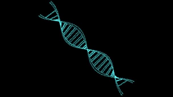 DNA digitale structuur wetenschap biotechnologie animatie 3D roteren op zwart scherm - Video