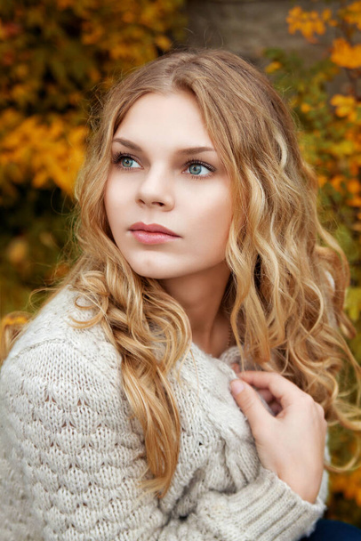 portrait of a beautiful girl in the park in autumn  - Fotografie, Obrázek