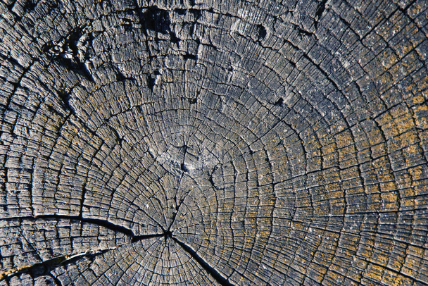 Мбаппе и старая богатая текстура дерева с ножами. Изображение для дизайна. - Фото, изображение