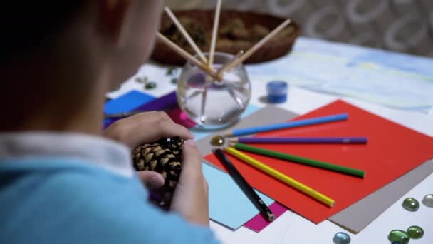Talentueux garçon tient des cônes de pin dans les mains et les crayons de couleur. L'apprentissage en ligne - Séquence, vidéo