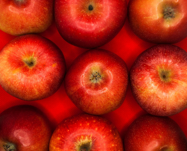 Manzanas rojas sobre fondo rojo. Orientación cuadrada. - Foto, imagen