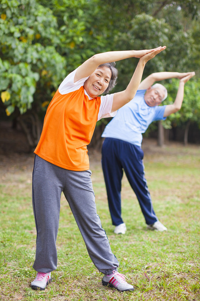 Senior Couple Exercising In Park - Photo, Image