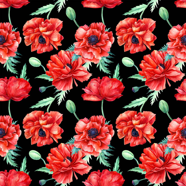 Απρόσκοπτη μοτίβο των κόκκινων παπαρούνες σε απομονωμένο μαύρο φόντο, ακουαρέλα λουλούδια  - Φωτογραφία, εικόνα