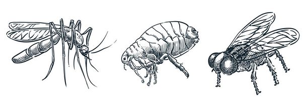 Кров'янисті комахи паразити іконки. Векторна рука намальована ескіз небезпечних жучків ілюстрація. Комарі, пух, блоха і муха, ізольовані на білому тлі
 - Вектор, зображення