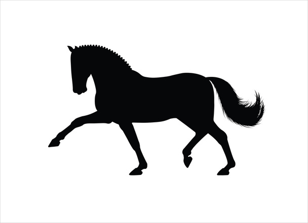 Кінь рисі
 - Вектор, зображення