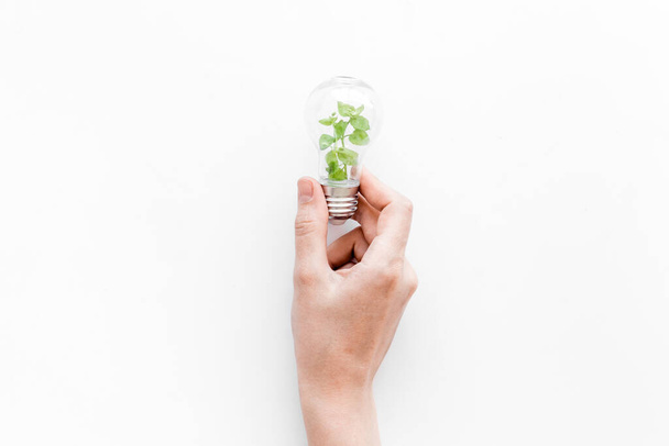 Hand holds light bulb with grass inside - green energy concept, top view - Fotoğraf, Görsel