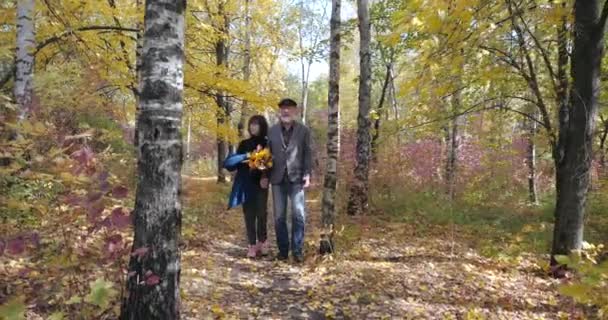Rodzina poślubiła starszą parę spacerującą po jesiennym lesie wśród brzozy, patrząc na przyrodę. Kobieta w płaszczu z bukietem liści trzyma rękę brodatego męża w kurtce i czapce. - Materiał filmowy, wideo