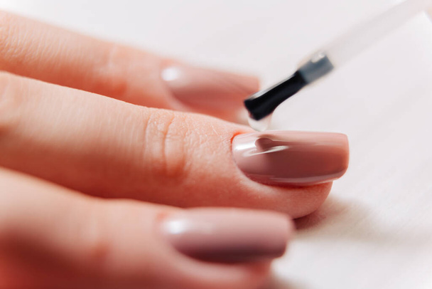 Manicure process. Manicurist paints fingernails. Nail polish. - Zdjęcie, obraz