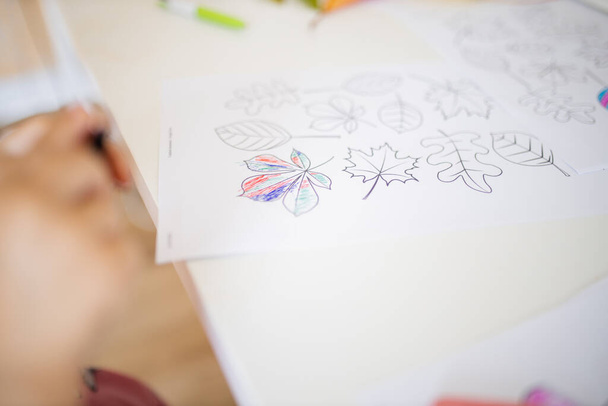 Arkusz papieru z kolorowanymi obrazami różnych rodzajów liści na białym stole - Zdjęcie, obraz