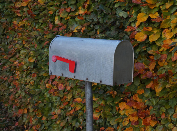 Briefkasten aus Aluminium vor einer Buchenhecke - Foto, Bild