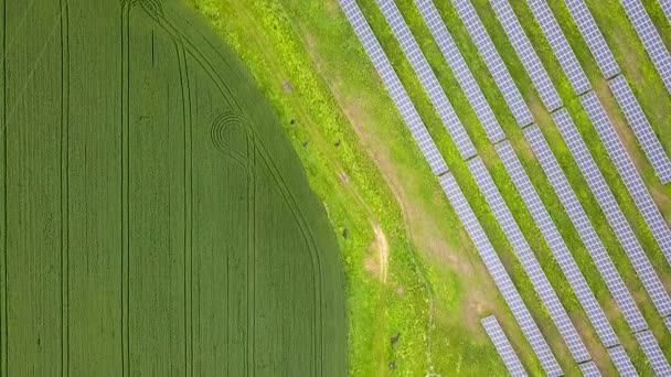 Luchtfoto van zonnecentrale op groen veld. Elektrische panelen voor het opwekken van schone ecologische energie. - Video