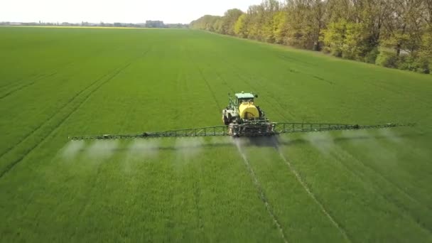 Aerial näkymä traktorin ruiskuttamalla kemiallisia torjunta-aineita sumutin suuri vihreä kenttä keväällä. - Materiaali, video