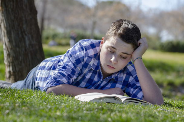 Boy reading a book - Foto, immagini